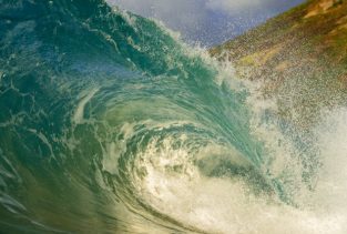 pexels-kammeran-gonzalez-keola-3137381-26836559